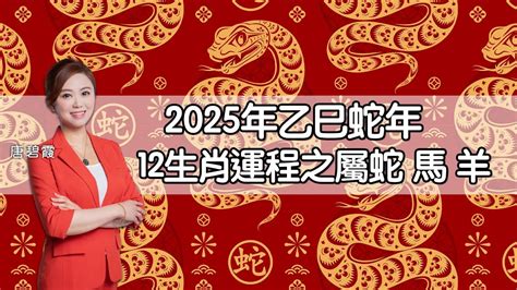 2025年蛇年運程|麥玲玲蛇年運程2025│十二生肖蛇年運勢排行榜＋財運/桃花/事業。